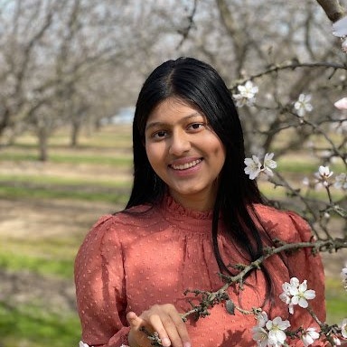 Sufee Kathane, Sunnyvale Team Co-Lead